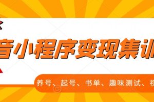 抖音小程序变现集训课，养号、起号、书单、趣味测试、视频剪辑，全套流程【课代表：llucky0309】