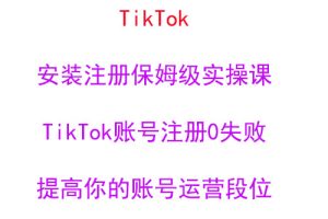 疯人院TikTok安装注册保姆级实操课，tiktok账号注册0失败，提高你的账号运营段位