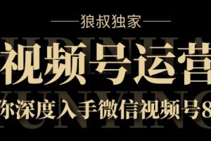 狼叔独家：视频号运营实战课8.0，带你深度入手微信视频号