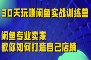 30天玩赚闲鱼实战训练营，闲鱼专业卖家教你如何打造自己店铺