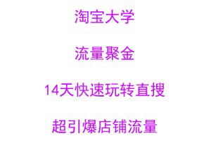 淘宝大学：流量聚金14天快速玩转直搜，超引爆店铺流量，价值8800元