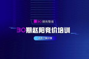 赵阳sem竞价第30期培训教程课程（2020完结）价值3999元