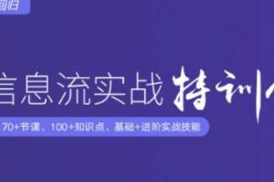 信息流广告实战特训营,快速提升信息流广告投放效果(37期入门班+进阶班)