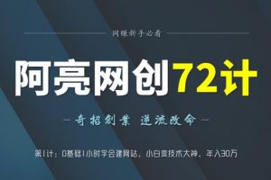 阿亮网创72计第1计：0基础1小时学会建站，小白变技术大神，年入30万