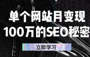 单个网站月变现100万的SEO秘密，百分百做出赚钱站点