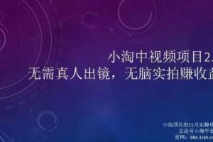 小淘项目组网赚永久会员，绝对是具有实操价值的，适合有项目做需要流程【持续更新】