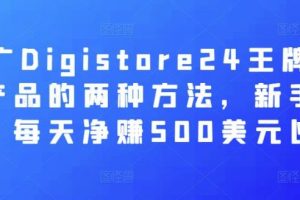 推广Digistore24王牌减肥产品的两种方法，新手友好，每天净赚500美元以上