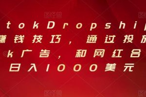 Tiktok Dropshipping赚钱技巧，通过投放Tiktok广告，和网红合作，日入1000美元