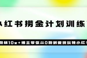 《小红书捞金计划训练营》粉丝10w+博主带你从0粉到变现玩转小红书（72节课)