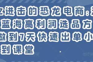 2022进击的恐龙电商:淘宝小众蓝海高利润选品方法论，做到7天快速出单小白也能做到