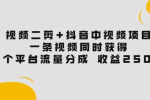 视频二剪+抖音中视频项目：一条视频获得3个平台流量分成收益250%价值4980