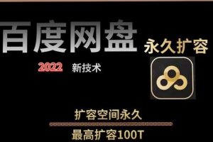 外面卖699的百度网盘无限扩容技术【可转售，可自用，无限制】