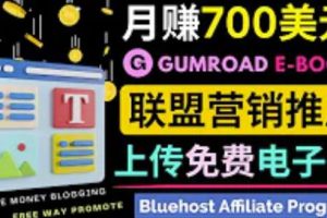 通过虚拟商品交易平台Gumroad，发布免费电子书，并推广自己的联盟营销链接赚钱