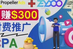 通过CPA推广平台Zeydoo日赚300美元：CPA Offer付费推广方法！