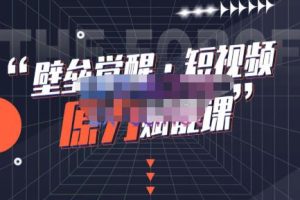 壁垒觉醒·短视频原力赋能课Pro【更新9月】，把短视频能力基因刻在你骨子里的课