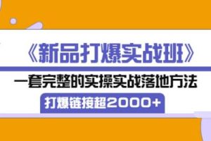 《新品打爆实战班》一套完整的实操实战落地方法，打爆链接超2000+（38节课)