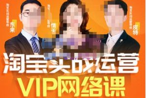 淘宝VIP线上直播课（八月完结），直通车爆款打造法，无线端权重与详情转化秘密等多套合