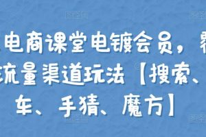 大王真电商课堂电镀会员，覆盖淘系4大流量渠道玩法【搜索、直通车、手猜、魔方】