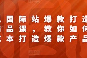 阿里国际站爆款打造系列精品课，教你如何低成本打造爆款产品