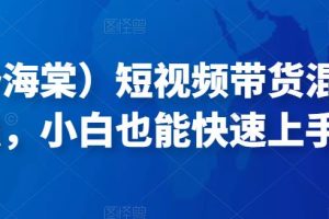 （小妤海棠）短视频带货混剪实操法，小白也能快速上手！