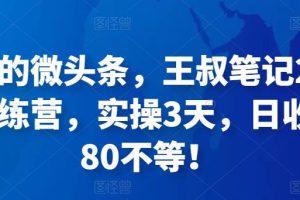 被忽视的微头条，王叔笔记21天微头条训练营，实操3天，日收益60-80不等！