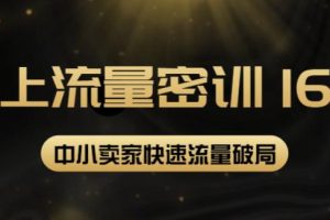 2022秋秋线上流量密训16.0：包含暴力引流10W+中小卖家流量破局技巧等等