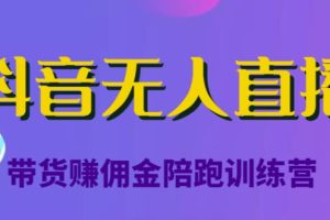 抖音无人直播带货赚佣金陪跑训练营，从0开始看完就能实操，日赚5000元（价值6980元）