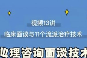 心理咨询面谈技术课理论讲授+案例实录+解释点评视频