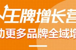 【王牌增长营】帮助更多电商品牌全域增长，月销百万实操干货，价值899元