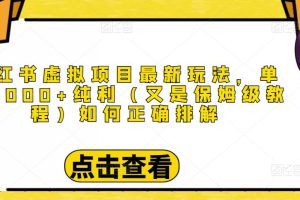 小红书虚拟项目最新玩法，单天1000+纯利（又是保姆级教程文档）