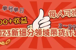 2023新细分领域带货计划：单号单日1000+收益不难，每人可操作3-5个账号