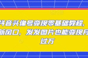 抖音头像号变现零基础教程，全新风口，发发图片也能变现月入过万