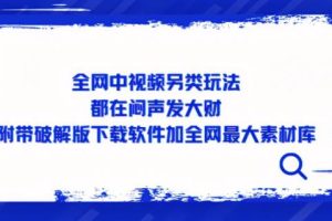 全网中视频另类玩法，都在闷声发大财，附带破解版下载软件加全网最大素材库