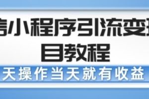 微信小程序引流变现项目教程，当天操作当天就有收益，变现不再是难事