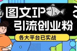 价值1688的抖音快手小红书图文ip引流实操课，日引50-100！各大平台已经实战