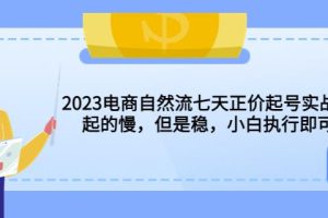 2023电商自然流七天正价起号实战课：起的慢，但是稳，小白执行即可！