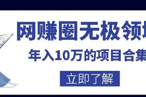 网赚圈无极领域年入10万的自学项目合集，暴利的CPS项目+暴利的自媒体+闲鱼搬运赚钱法等