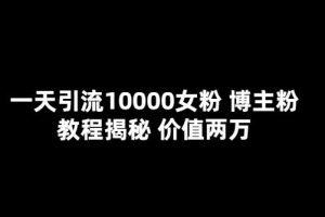 一天引流10000女粉，博主粉教程揭秘（价值两万）