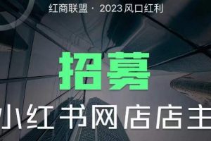 红商联盟·小红书无货源电商1.0，0粉丝无需囤货，小白也可以轻松上手的无货源项目