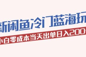 2023最新闲鱼冷门蓝海玩法，小白零成本当天出单日入200+【揭秘】