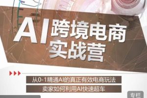 白龙老师·AI跨境电商实战营：从0-1精通Al的真正有效电商玩法，卖家如何利用Al快速超车