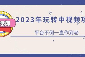 2023一心0基础玩转中视频项目：平台不倒，一直做到老【揭秘】