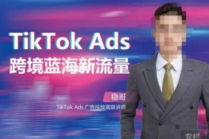 稳哥·如何投出高ROI的TikTok广告，开拓独立站卖家流量新蓝海