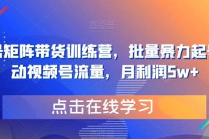 视频号矩阵带货训练营，批量暴力起号，撬动视频号流量，月利润5w+