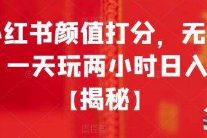 小红书颜值打分，无门槛，一天玩两小时日入300+【揭秘】