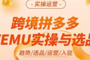 伍跃·跨境拼多多TEMU实操与选品，​趋势/选品/运营/入住（27节完整）