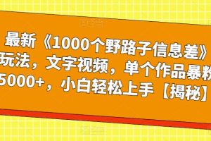 最新《1000个野路子信息差》玩法，文字视频，单个作品暴粉5000+，小白轻松上手【揭秘】