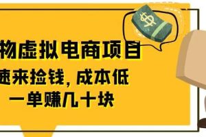 东哲日记：全网首创实物虚拟电商项目，速来捡钱，成本低，一单赚几十块！