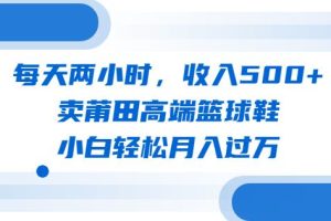 每天两小时，收入500+，卖莆田高端篮球鞋，小白轻松月入过万（教程+素材）【揭秘】