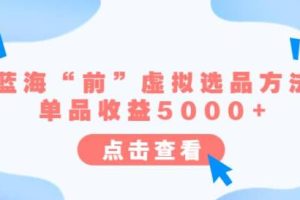 某公众号付费文章《蓝海“前”虚拟选品方法：单品收益5000+》